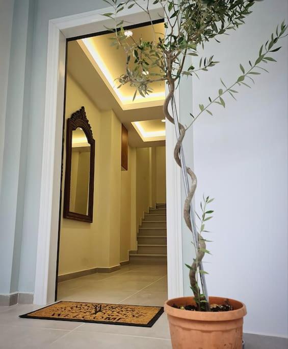 Filoxenia Luxury Apartment Patras